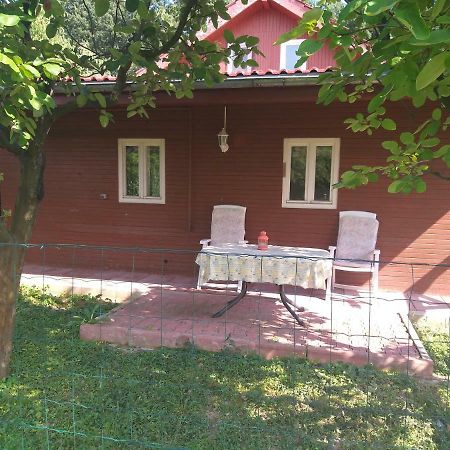 Rustic Country House In Snagov Apartment Exterior photo